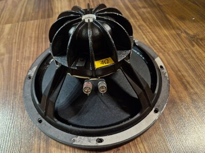 Mesa 12" Neodym Speaker aus Walkabout Scout