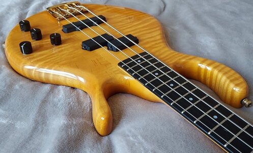 pedulla-mvp-4-5245742@2x.jpg pedulla-mvp-4-5245742@2x.jpg