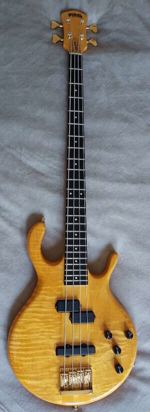 pedulla-mvp-4-5245735@2x.jpg pedulla-mvp-4-5245735@2x.jpg