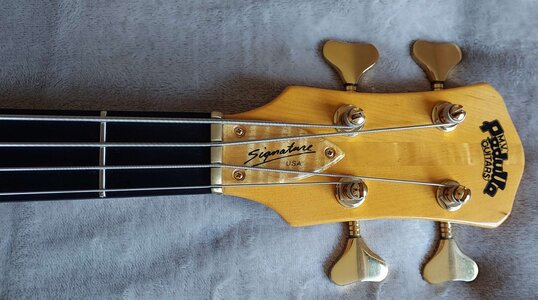 pedulla-mvp-4-5245746@2x.jpg pedulla-mvp-4-5245746@2x.jpg