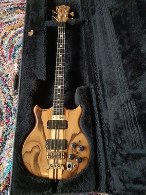 Alembic Stanley Clarke Deluxe