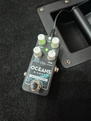 EHX Pico Oceans 3-Verb