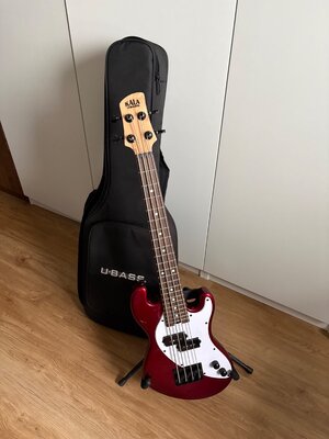 Kala U Bass Solid Bassukulele