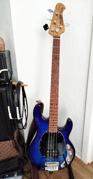 Polish_20240803_154237342.jpg Polish_20240803_154237342.jpg