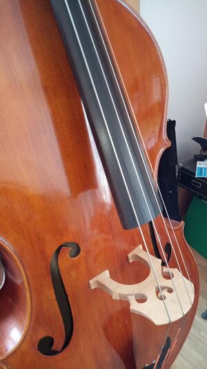 Rogeri_2.jpeg Rogeri_2.jpeg