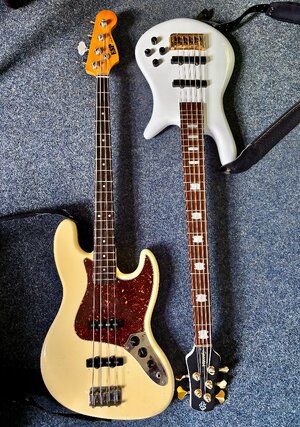 IMG_6400.jpeg IMG_6400.jpeg