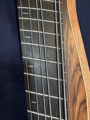 IMG_6785.jpeg IMG_6785.jpeg