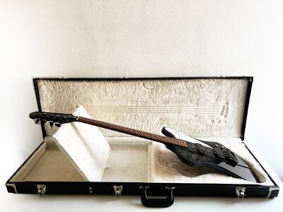 hat jemand meinen alten, schwarzen Thunderbird?