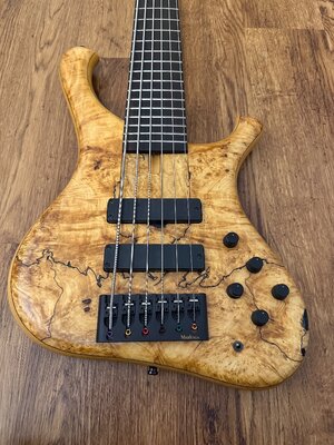 IMG_3170.jpeg IMG_3170.jpeg