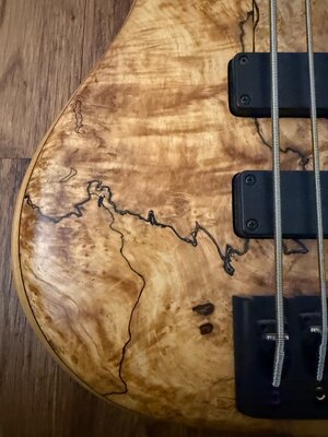 IMG_3175.jpeg IMG_3175.jpeg