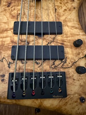 IMG_3176.jpeg IMG_3176.jpeg