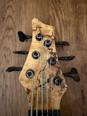 IMG_3178.jpeg IMG_3178.jpeg