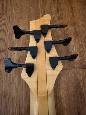 IMG_3181.jpeg IMG_3181.jpeg