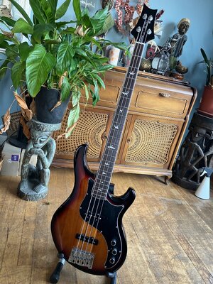 Kestrel PRS SE by Paul Reed Smith