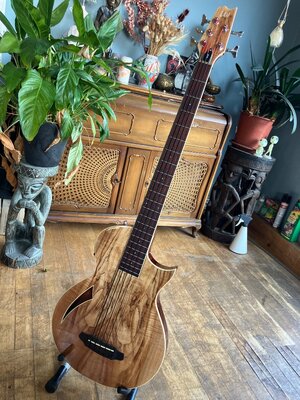 LTD TL-5 by ESP