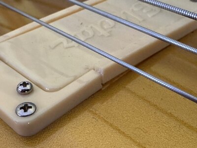 WANTED: Pickup-Rahmen / pickup ring – Epiphone Jack Casady Bass