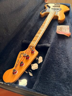 IMG_9512.jpeg IMG_9512.jpeg