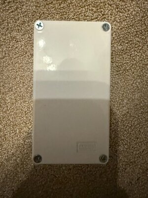 Groß (IMG_1943).jpeg