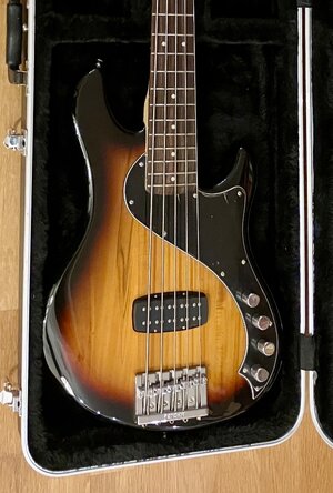 Squier Dimension V loaded Body