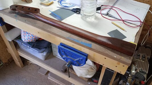 Last Coat Neck 2.jpg