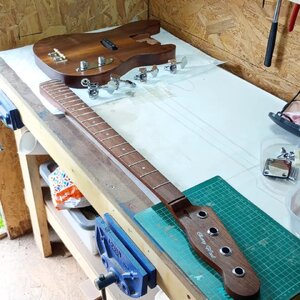 Homeward Straight.jpg