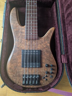 Fodera Monarch Deluxe 5