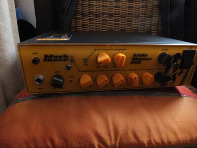 MARKBASS MARCUS MILLER BASS AMP HEAD 250 ( optional mit Flightcase Head Shell )