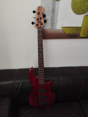 Magnus Krempel (Hofmann)/Hot Wire 5 Saiter