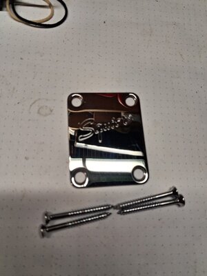 Squier classic vibe Hardware