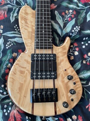 Woods & Tronics Chronos 5 Custom Single Cut