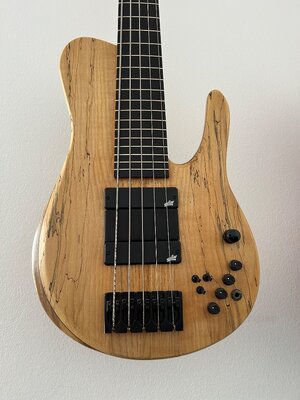Single Cut, Fodera MG Imperial 5 STYLE bass