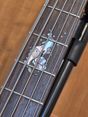 WhatsApp Image 2026-01-15 at 15.51.07 (1).jpeg