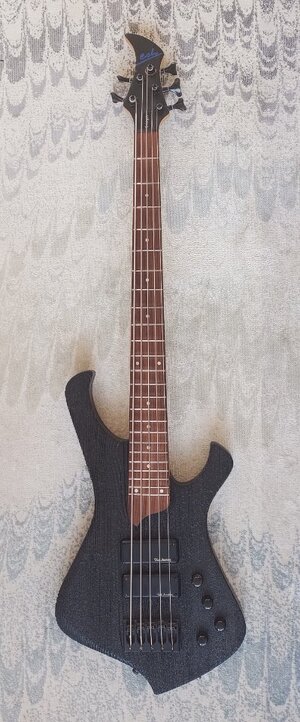 Esh Stinger 1 5-String