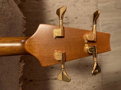 Groß (IMG_9727).jpeg