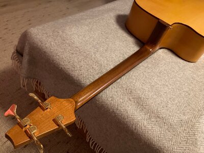 Groß (IMG_9730).jpeg