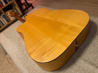 Groß (IMG_9731).jpeg