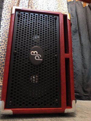 PHIL JONES BASSBOX CABINET C 2 mit 200 Watt rms @ 8 Ohm ,  mit  7 ,3 kg  !!
