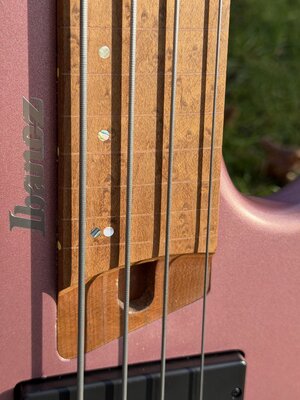 Ibanez EHB1000S fretless 004.jpg
