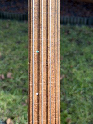 Ibanez EHB1000S fretless 007.jpg