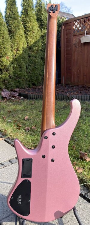 Ibanez EHB1000S fretless 001.jpg