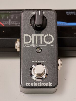 TC Electronic Ditto Looper