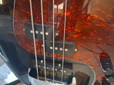 Tausche Sire P7 gegen Shortscale