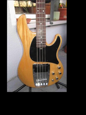 Ibanez ATK 200