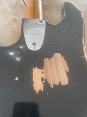 MM Stingray - 11.JPG