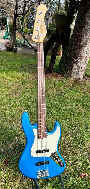 Sadowsky 2017 NYC J 4-21