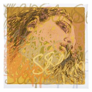 gebrauchte Evah Pirazzi weich G- und D-Saite oder/und Evah Pirazzi Slap G- und D-Saite syn. gesucht