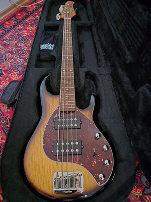 Music Man USA Stingray Special 5 HH