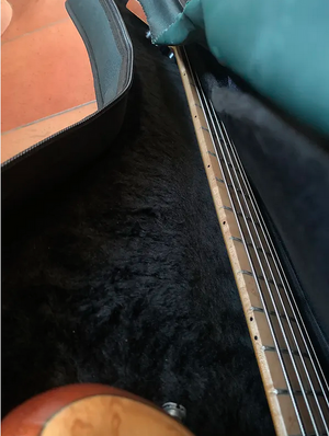 Schermata 2024-12-29 alle 19.25.05.png