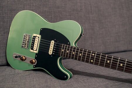 Moollon Telecaster 2.jpg