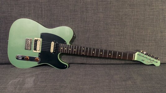Moollon Telecaster 5.jpg